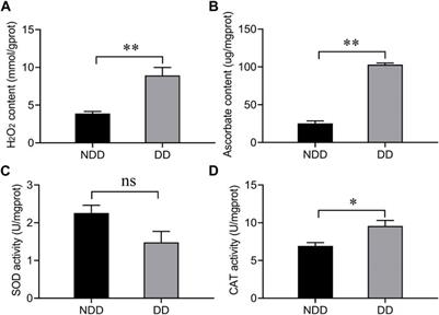 Molecular identification of two thioredoxin genes and their function in antioxidant defense in Arma chinensis diapause